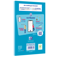 Blocbristol Oxford 125x200 30 fiches perforees q5/5 bleu