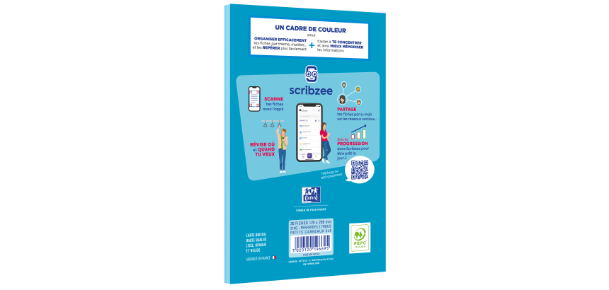 Blocbristol Oxford 125x200 30 fiches perforees q5/5 bleu