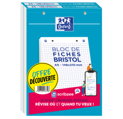 Lot De 2 Blocs Bristol Oxford 148X210 30 Fiches Perforees Q5/5+Tag