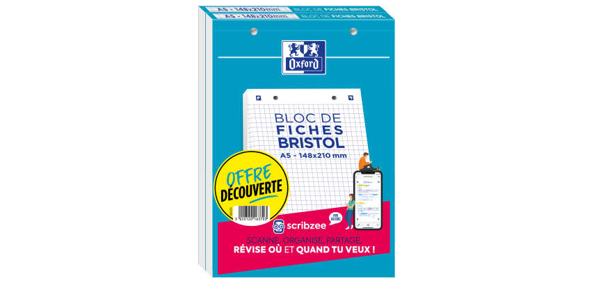 Lot De 2 Blocs Bristol Oxford 148X210 30 Fiches Perforees Q5/5+Tag