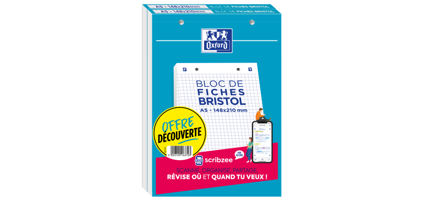 Lot De 2 Blocs Bristol Oxford 148X210 30 Fiches Perforees Q5/5+Tag