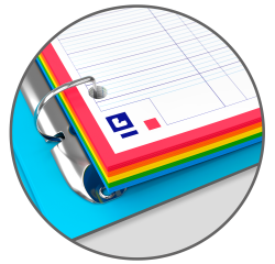 Easy Organiser Oxford Classeur Color System A4 D30 PP +120P Seyes 5Coul