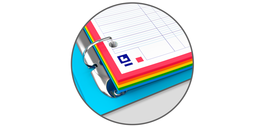 Easy Organiser Oxford Classeur Color System A4 D30 PP +120P Seyes 5Coul