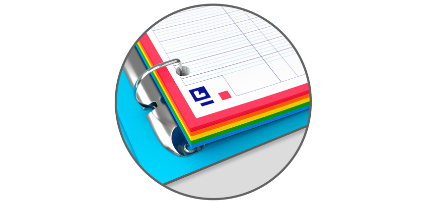 Easy organiser Oxford classeur color system a4 d30 pp +120p seyes 5coul