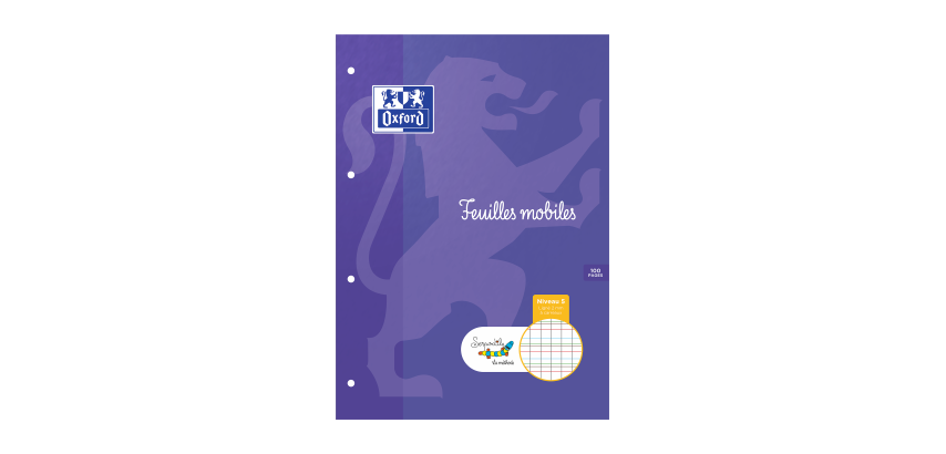 Etui De Feulles Simples Oxford Serpodile Perforees 210X297 100P Seyes 2mm à carreaux