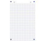 Bloc Bristol Oxford 125X200 30 Fiches Perforees Q5/5 Blanc