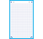Blocbristol Oxford 125x200 30 fiches perforees q5/5 bleu