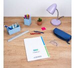Cahier 2 Sections Conquerant Classique Agrafe 240X320 96P 90G Seyes Polypro Incolore