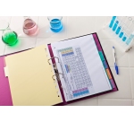 Intercalaires neutres A4 6 positions carte forte 225g assorti