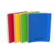 Cahier Conquerant classique a4 petits carreaux 5mm 100 pages reliure spirale couverture polypro coloris assortis