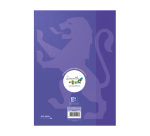 Etui de feulles simples Oxford serpodile perforees 210x297 100p seyes 2mm à carreaux