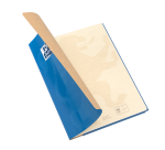 Cahier Easybook kraft Oxford agrafe 240x320 96pages seyes assorti