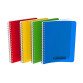 Cahier Conquerant classique 17x22cm petits carreaux 5mm 100 pages reliure spirale couverture polypro coloris assortis