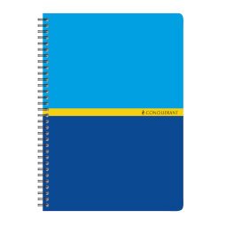 Carnet spirale Conquerant 14,8 x 21 cm 5 x 5 mm 180 pages