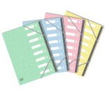 Trieur standard Oxford a4 8 positions couverture carte assortis pastel