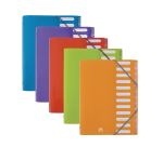 Trieur Oxford school life a4 12positions polypro translucide assorti