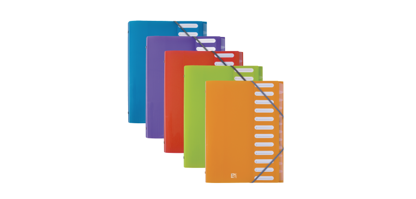 Trieur Oxford school life A4 12positions polypro translucide assorti