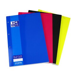 Bloc de bureau agrafé Color Life Oxford  21 x 29,7  grands carreaux 160 pages