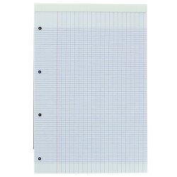 Bloc de bureau agrafé Color Life Oxford  21 x 29,7  grands carreaux 160 pages