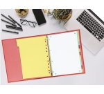 Intercalaires neutres a4 12 positions carte forte 160g assorti