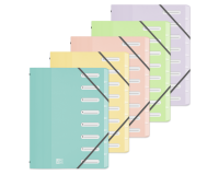 Trieur Oxford school life a4 8positions polypro opaque pastel assorti