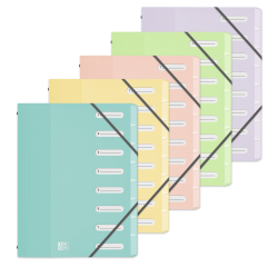 Trieur Oxford school life a4 8positions polypro opaque pastel assorti