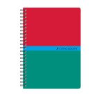 Carnet spirale Conquérant 10,5 x 14,8 cm 5 x 5 mm 100 pages