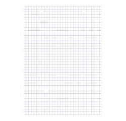 Fiche bristol collées 210 x 148 blanches 5 x 5 mm Oxford - Bloc de 30
