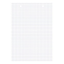 Fiche bristol collées 210 x 148 blanches 5 x 5 mm Oxford - Bloc de 30