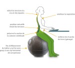 Siège ballon ergonomique Unilux diamètre 65 cm ergo sphere feutrine gris