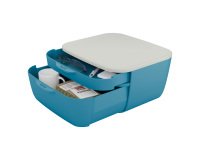 Buc de 2 cajones Leitz Cosy