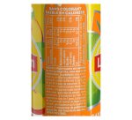 Lipton Ice tea pêche - carton de 24 canettes 33 cl