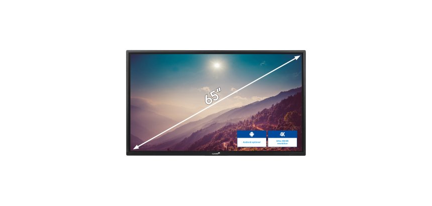 Ecran interactif tactile e-screen ETX-6520 Legamaster