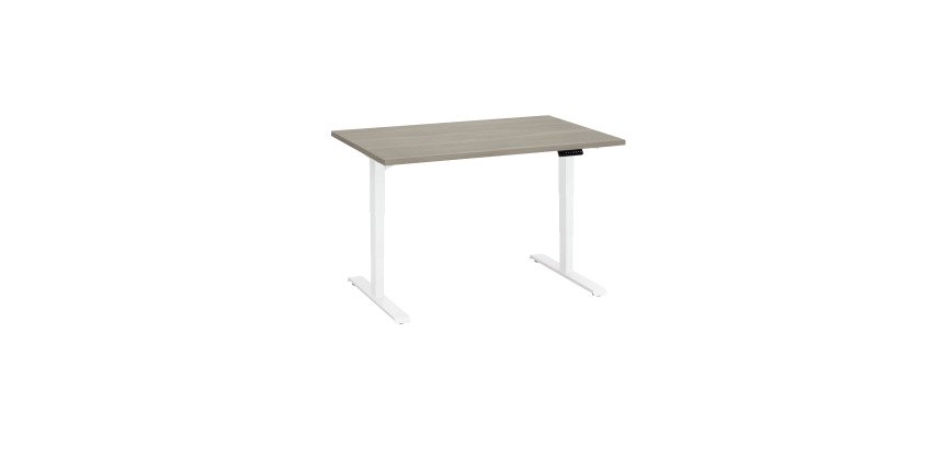 Bureau réglable en hauteur électrique chêne gris  Ergo Premium 120 x 80 cm - Arch