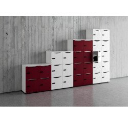 Set van 2 deuren Locker