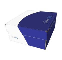 Sobres 115 x 225 mm 105 g FSC EcoSam - Caja de 500