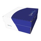 Sobres 115 x 225 mm 105 g EcoSam - Caja de 500