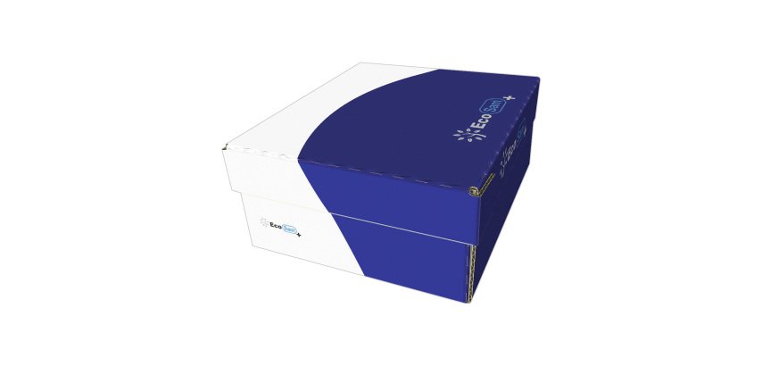 Sobres 115 x 225 mm 105 g EcoSam - Caja de 500