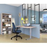 Standing-sitting desk Ecla Ergo with electric height adjustment gray aluminum base