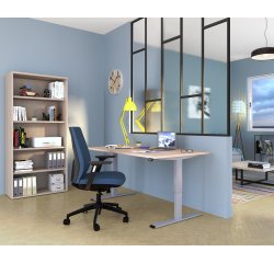 Standing desk Ecla Ergo with electric height adjustment, grey aluminum base.