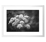 Cadre Profil - 60 x 80 cm