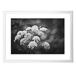 Cadre aluminium pour exposition - 60 x 80 cm