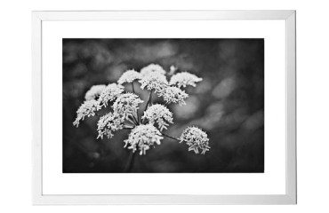 Cadre Profil - 60 x 80 cm