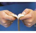 Fixation murale marque VELCRO®