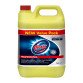 5 Liter-Behälter Glorix Expert Hygiene