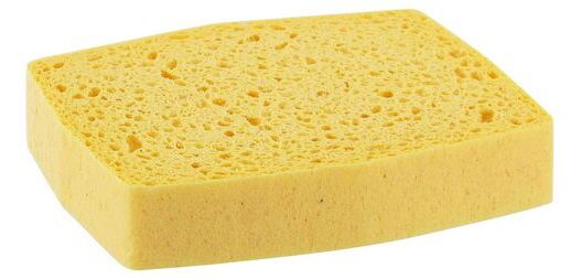 Vegetabiler Schwamm Spontex Professional Azella 86 - Paket mit 10
