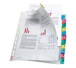 Fundas separadoras con 12 pestañas A4 Esselte