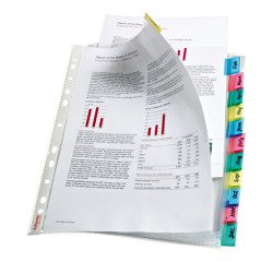 Fundas separadoras con 12 pestañas A4 Esselte