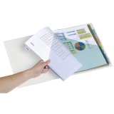 Dividers with double sleeves perforated multicoloured A4 Avery - polypropylene 18/100e - 8 divisio