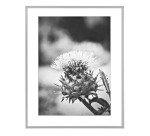 Cadre aluminium pour exposition - 70 x 100 cm